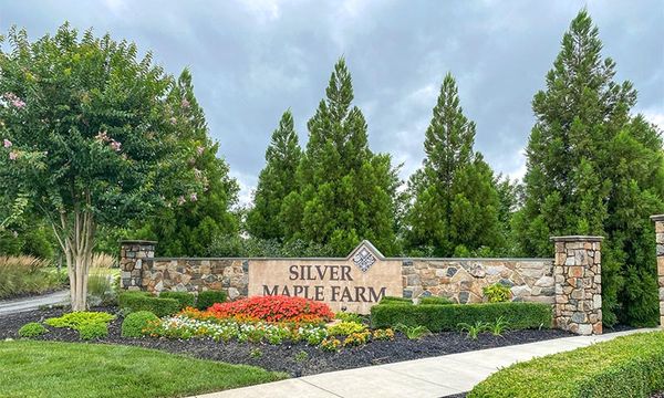Four Seasons at Silver Maple