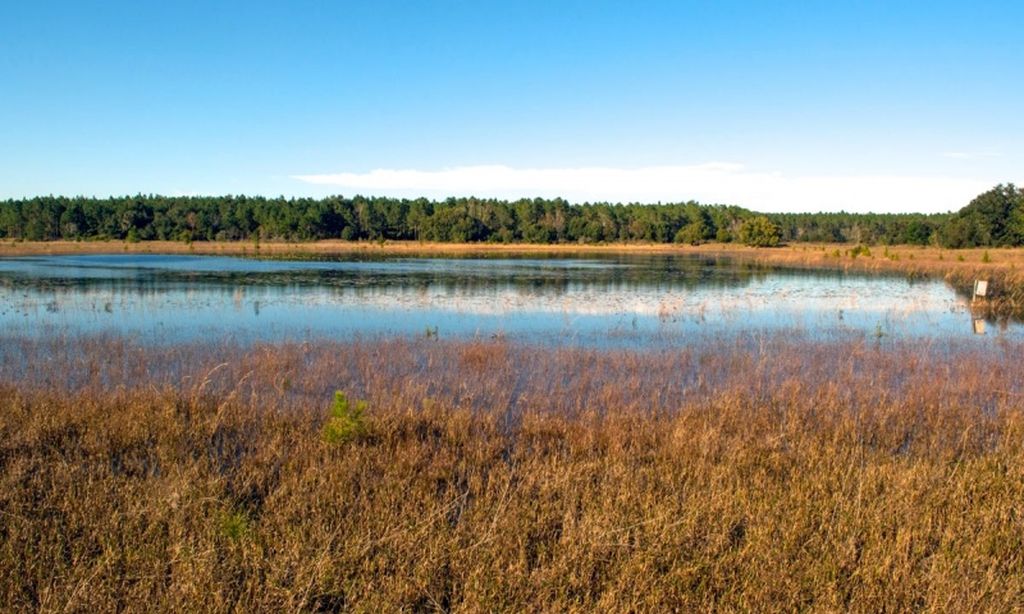 Catch & Release Fishing Lakes