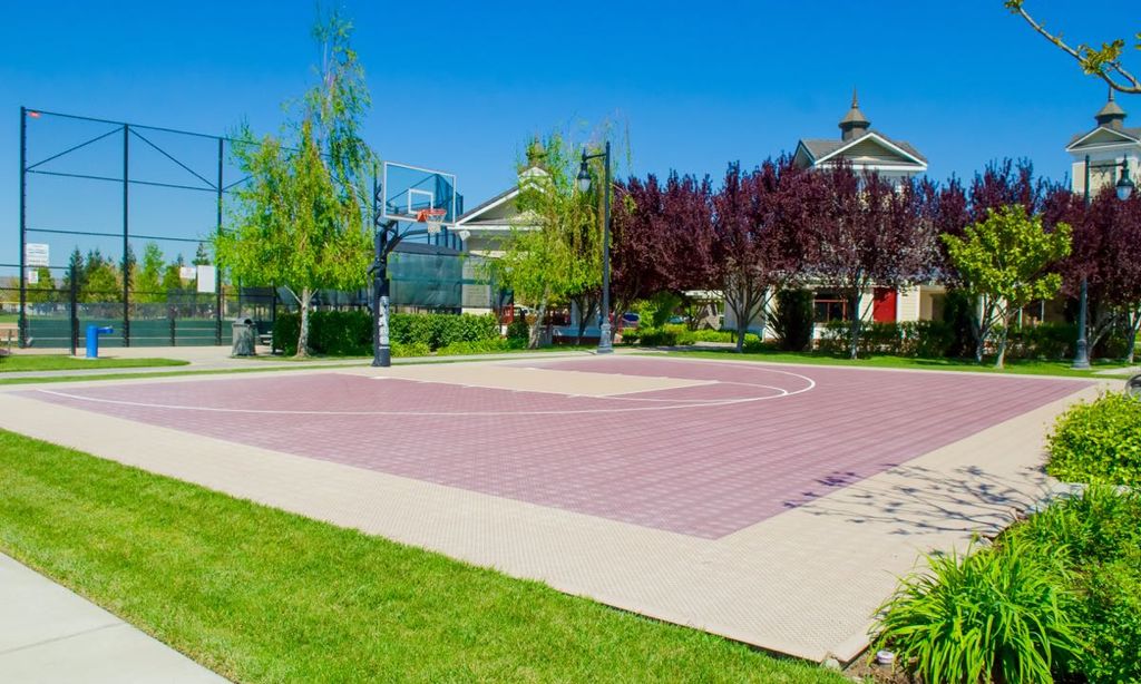 Half Basketball Court