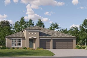 11817 BLUE DIAMOND TRL, PARRISH, FL