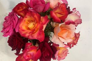 40083 CORTE LORCA, MURRIETA, CA