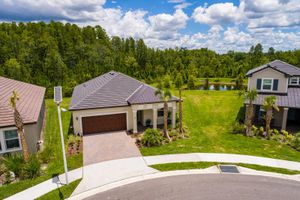 17263 MANGO SHAY CT, LAND O LAKES, FL