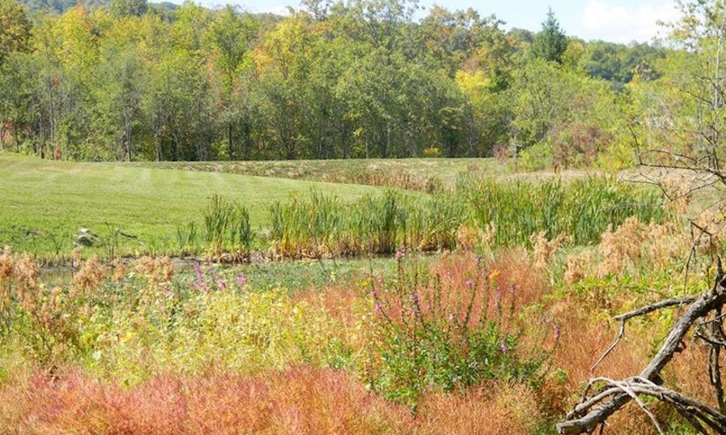 Parks and Natural Space