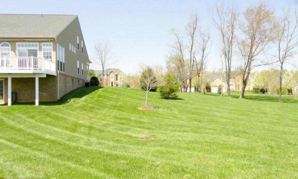 Manicured Landscapes