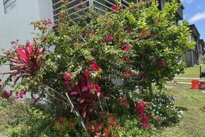970 NORMANDY U, DELRAY BEACH, FL