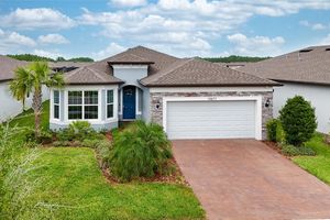 19877 SEA GLASS CIR, LAND O LAKES, FL