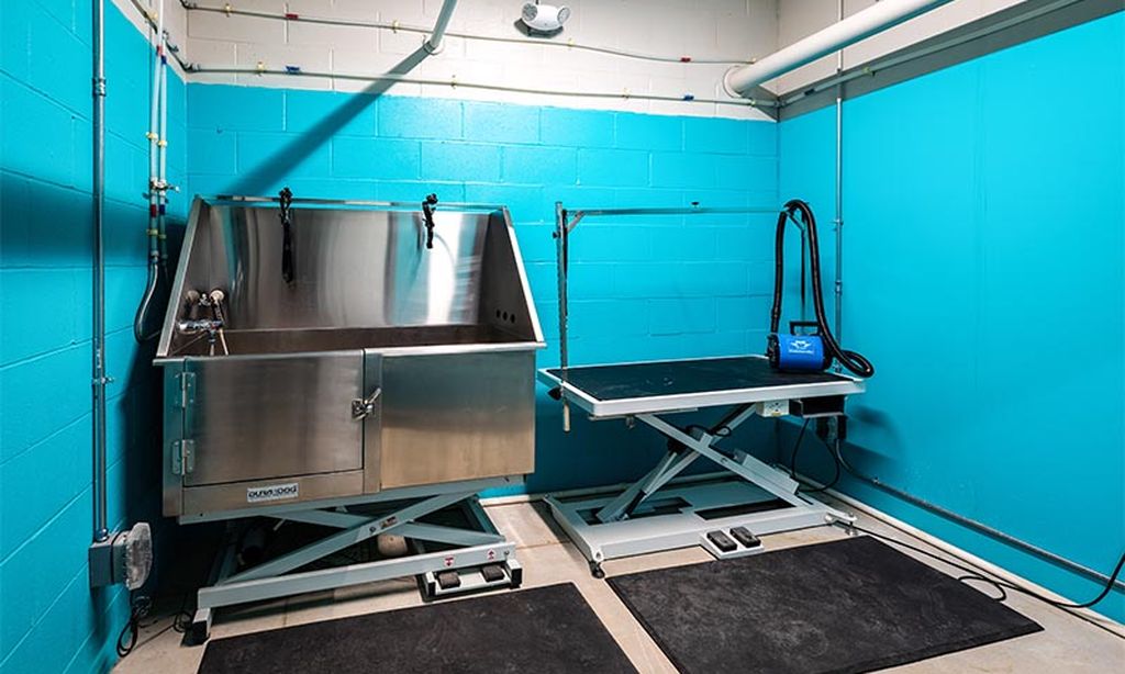 Pet Washing Room