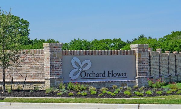 Orchard Flower
