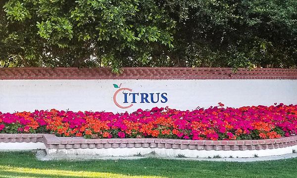 The Citrus Club - La Quinta, CA