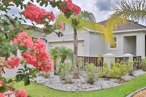 349 CARYOTA CT, NEW SMYRNA BEACH, FL