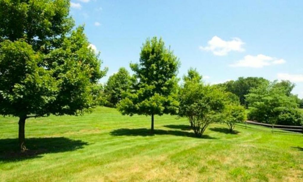 Parks & Natural Space