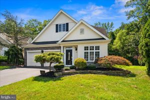 399 BLANKETFLOWER LN, PRINCETON JUNCTION, NJ