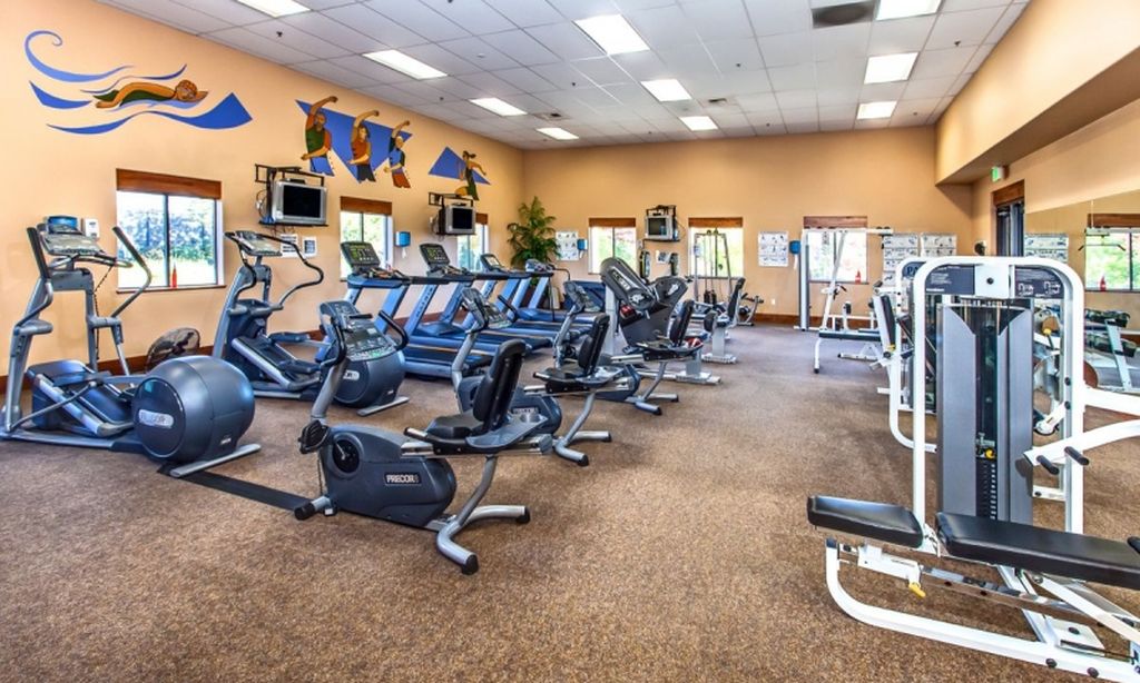 Cardiovascular Equipment