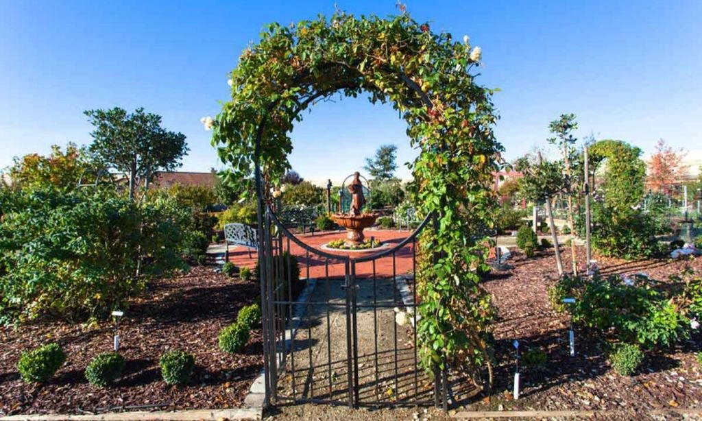 Asian & English Gardens