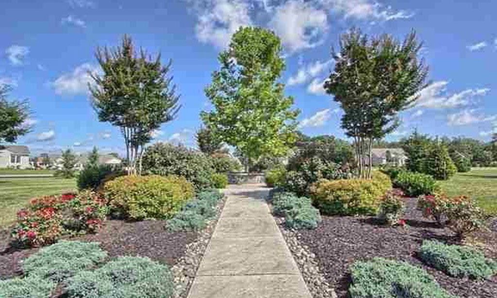 Scenic Walking Trail