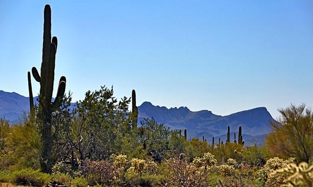 Scenic Views of the Tortolita Mountains 