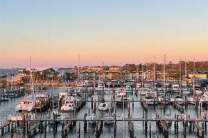 634 EDGEWATER DR UNIT 447, DUNEDIN, FL