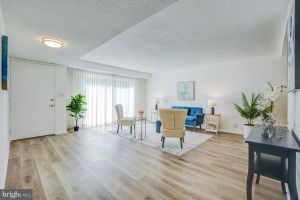 3742 S LEISURE WORLD BLVD # 6A-F, SILVER SPRING, MD