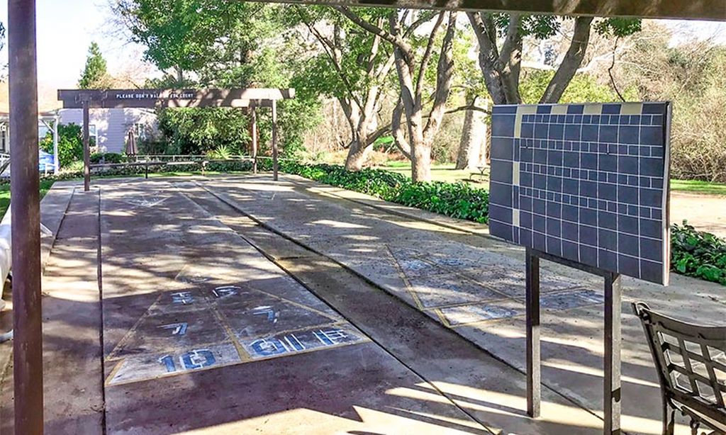 Shuffleboard Courts