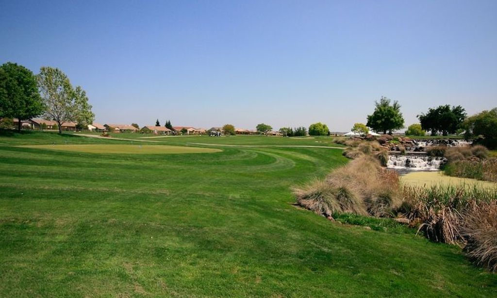 Manicured Golf Courses