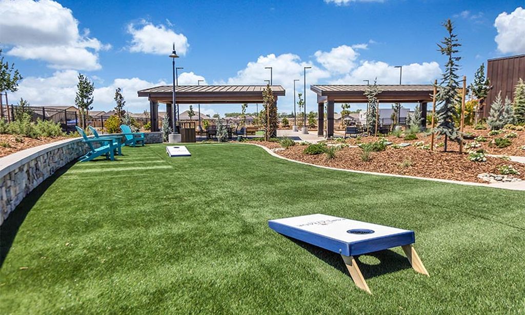 Outdoor Activity Lawns