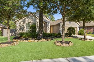 8 S ELDERBERRY TRL, MONTGOMERY, TX