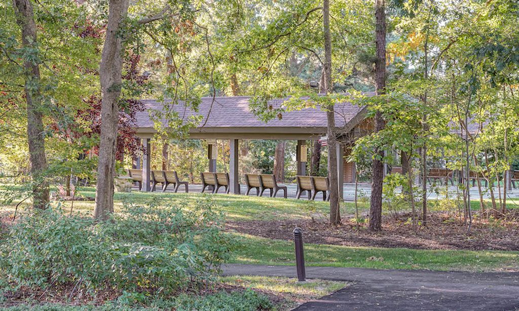 Scenic Walking Trails