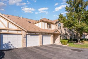 18422 PINE CONE DR 4, TINLEY PARK, IL