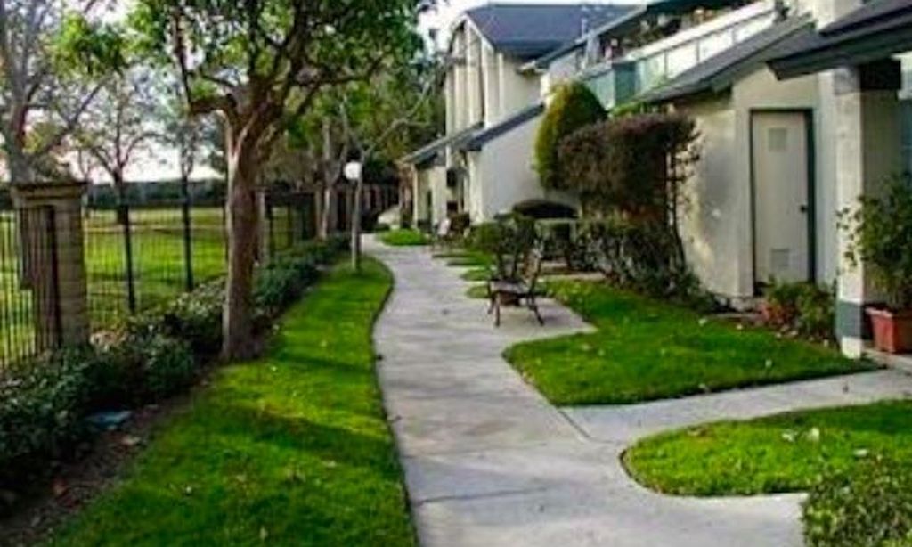 Beautiful Neighborhood