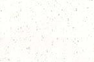 5565 SANIBEL LN, WESTLAKE, FL