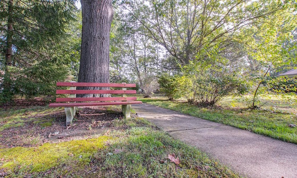 Scenic Walking Paths