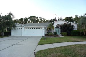 11247 WEDGEMERE DR, TRINITY, FL
