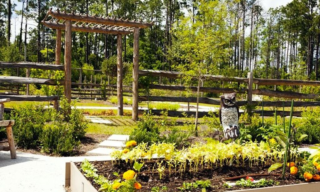 Central Park & Community Garden