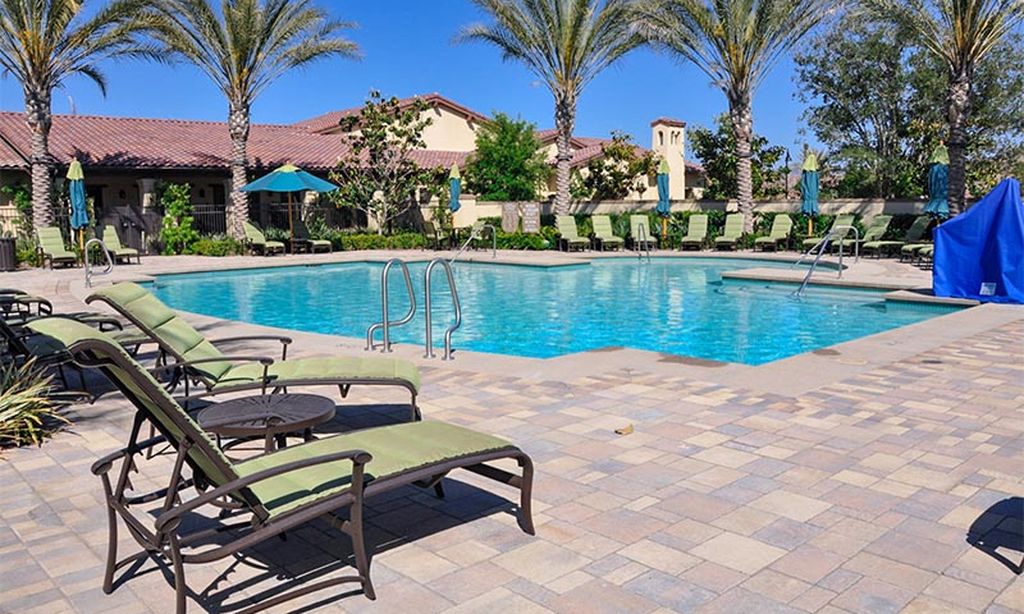 Outdoor Pool & Patio