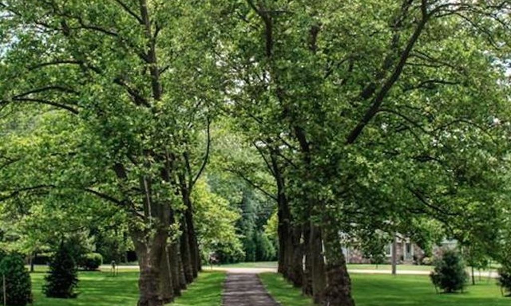 Walking & Biking Trail