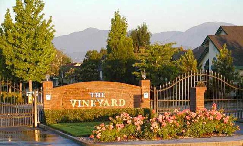 The Vineyard - Redding, CA