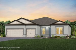 16412 RUSTIC SKY DR, SPRING HILL(PASCO), FL