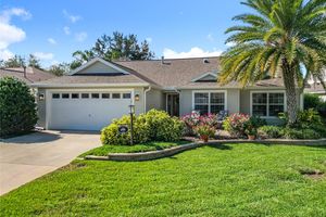 17430 SE 71ST BIRCHBROOK AVE, THE VILLAGES, FL