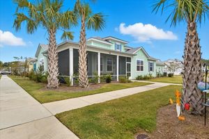 196 TREASURE PAST WAY, HARDEEVILLE, SC