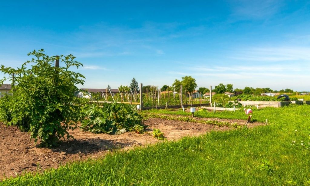 Community Garden