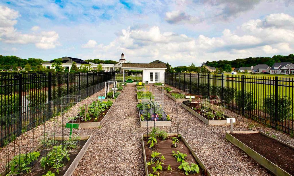 Community Garden