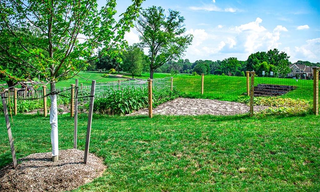 Community Garden