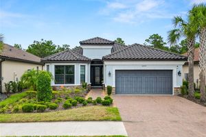 20159 UMBRIA HILL DR, TAMPA, FL