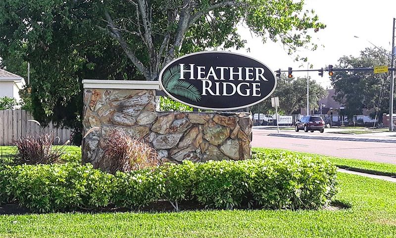Heather Ridge - Dunedin FL