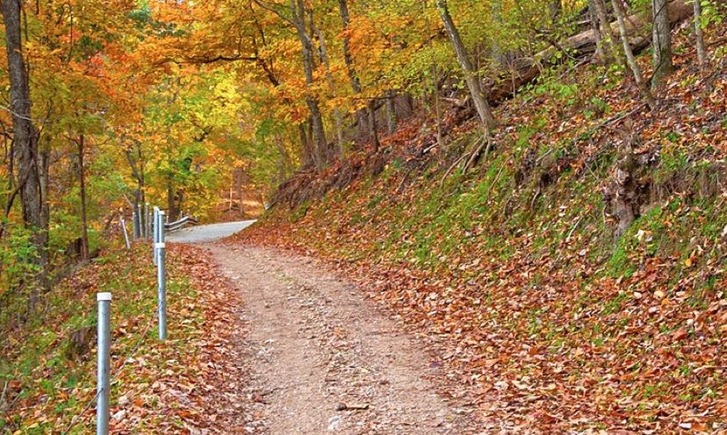 Walking & Biking Trails