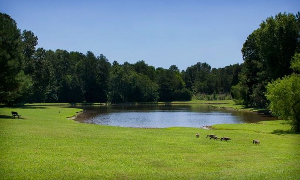 Scenic Ponds