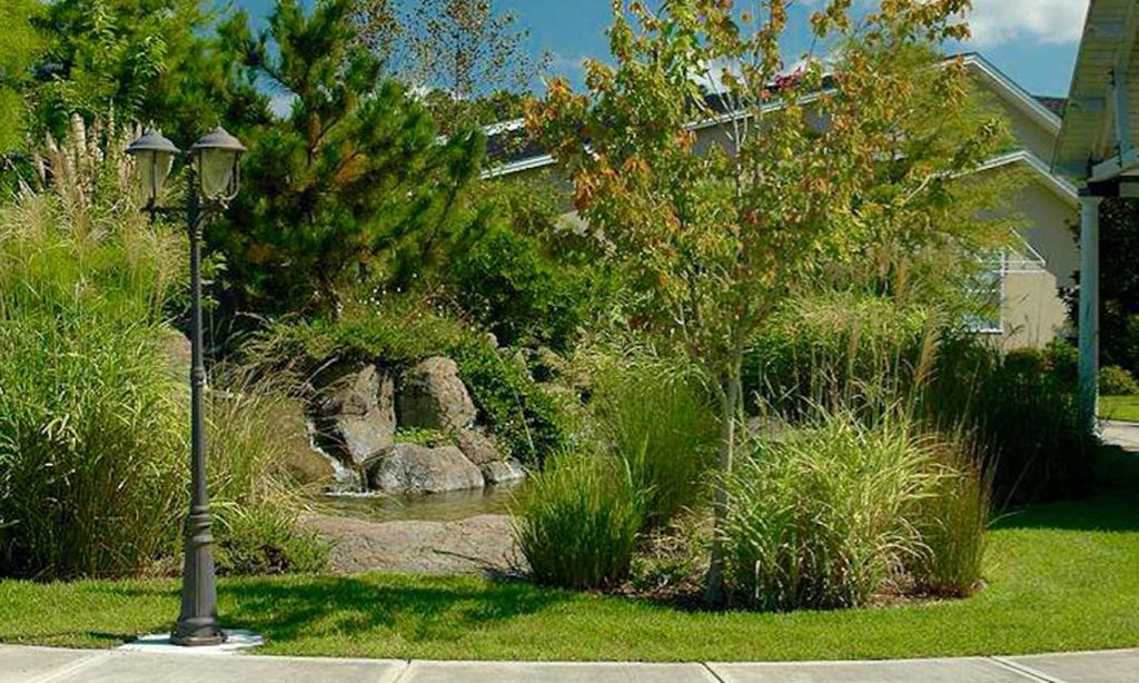 Scenic Walking Trails