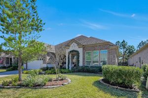 233 APPALOOSA CT, THE WOODLANDS, TX