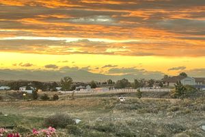 6805 ZEBRA GRASS LN, PARKER, CO