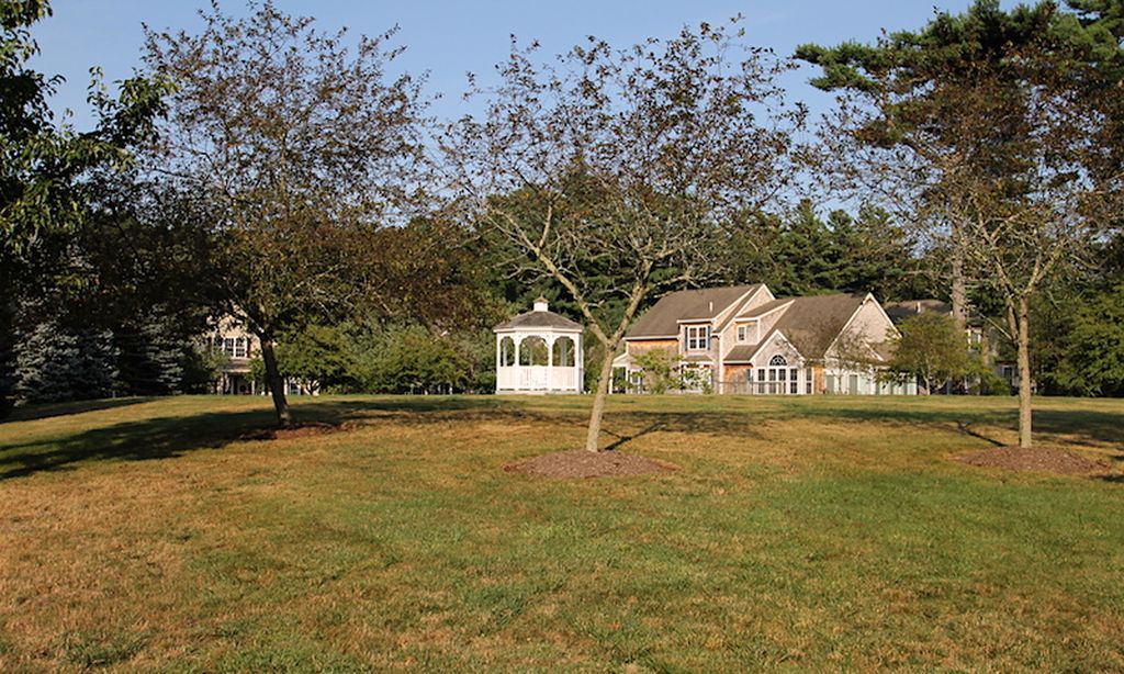 Gazebo and Park